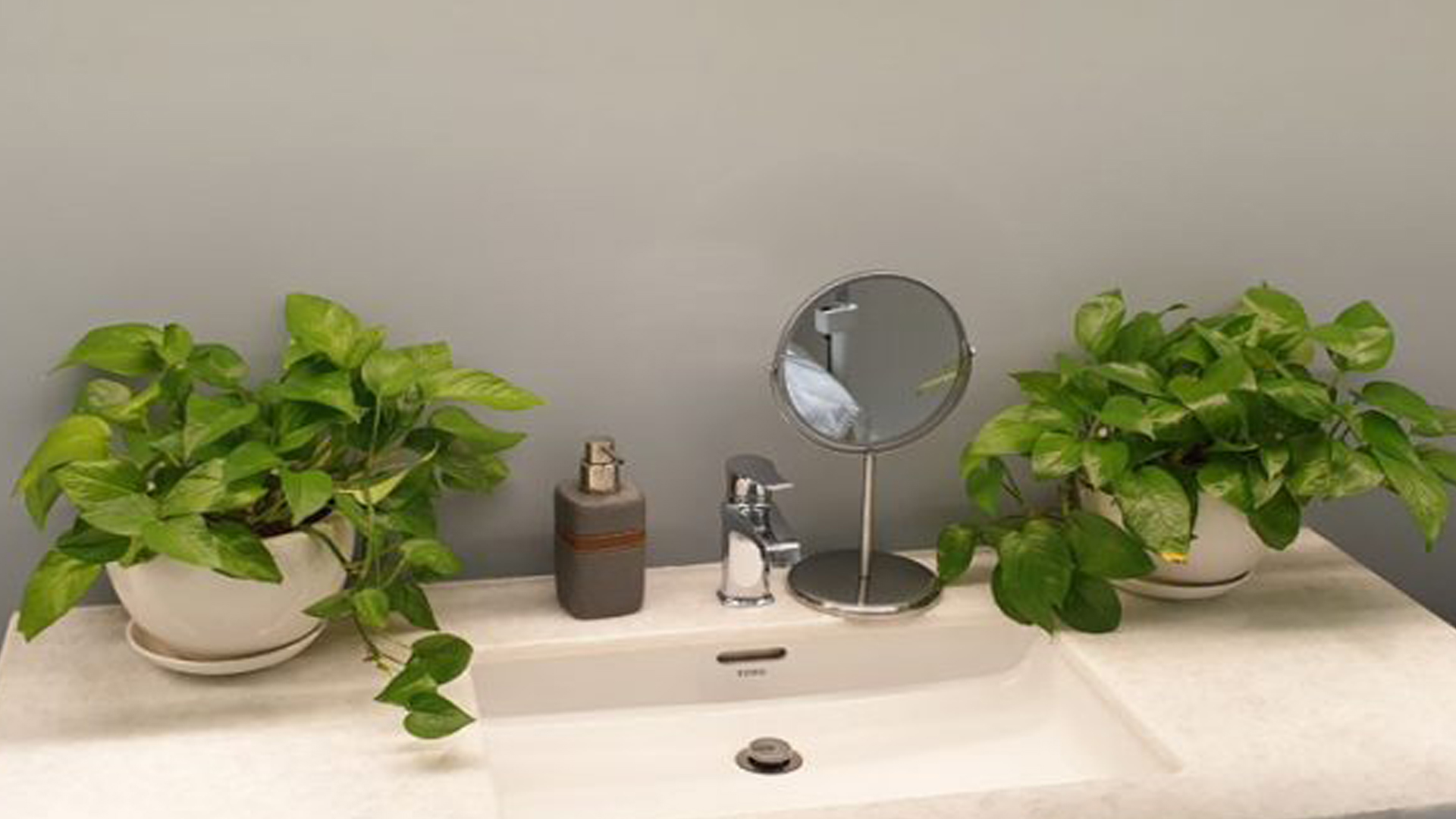 Trồng cây Trầu bà trong phòng tắm