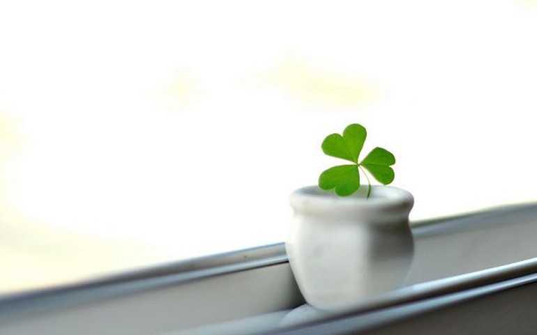 Xuân Hy Vọng và lời bài hát