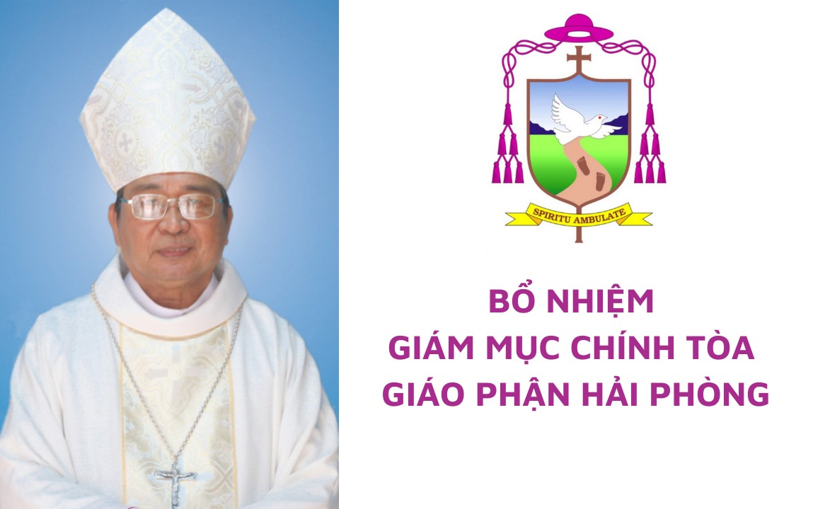 Bổ nhiệm Giám mục Chính tòa giáo phận Hải Phòng