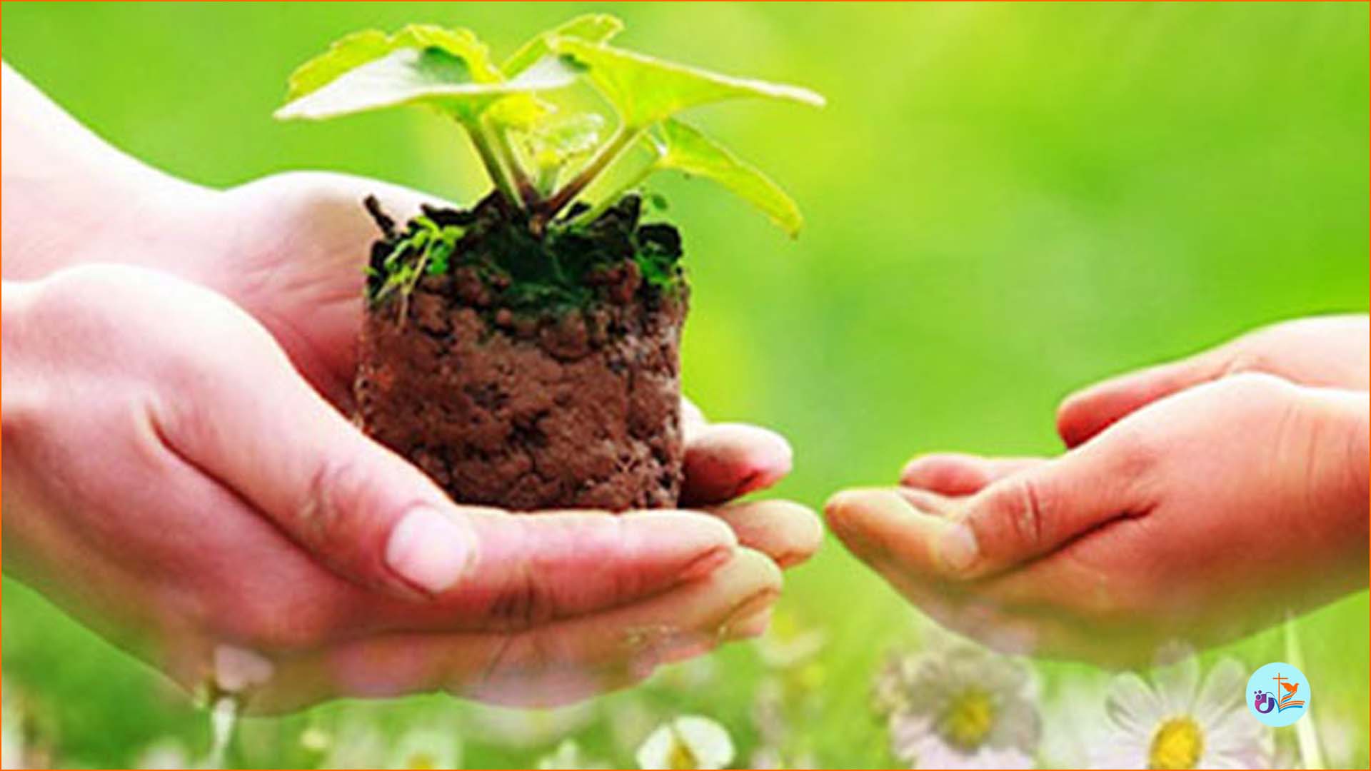 Những thói quen xấu khiến bạn không bao giờ sống thanh thản và hạnh phúc