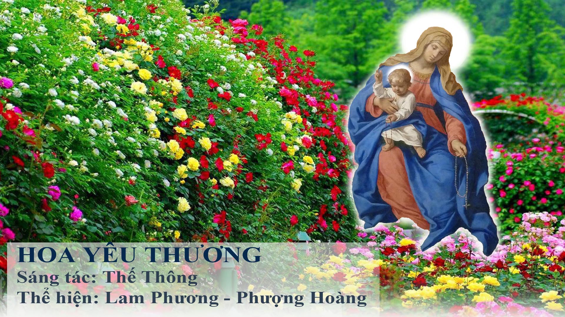 Hoa Yêu Thương – Nhạc và lời cùng file PDF