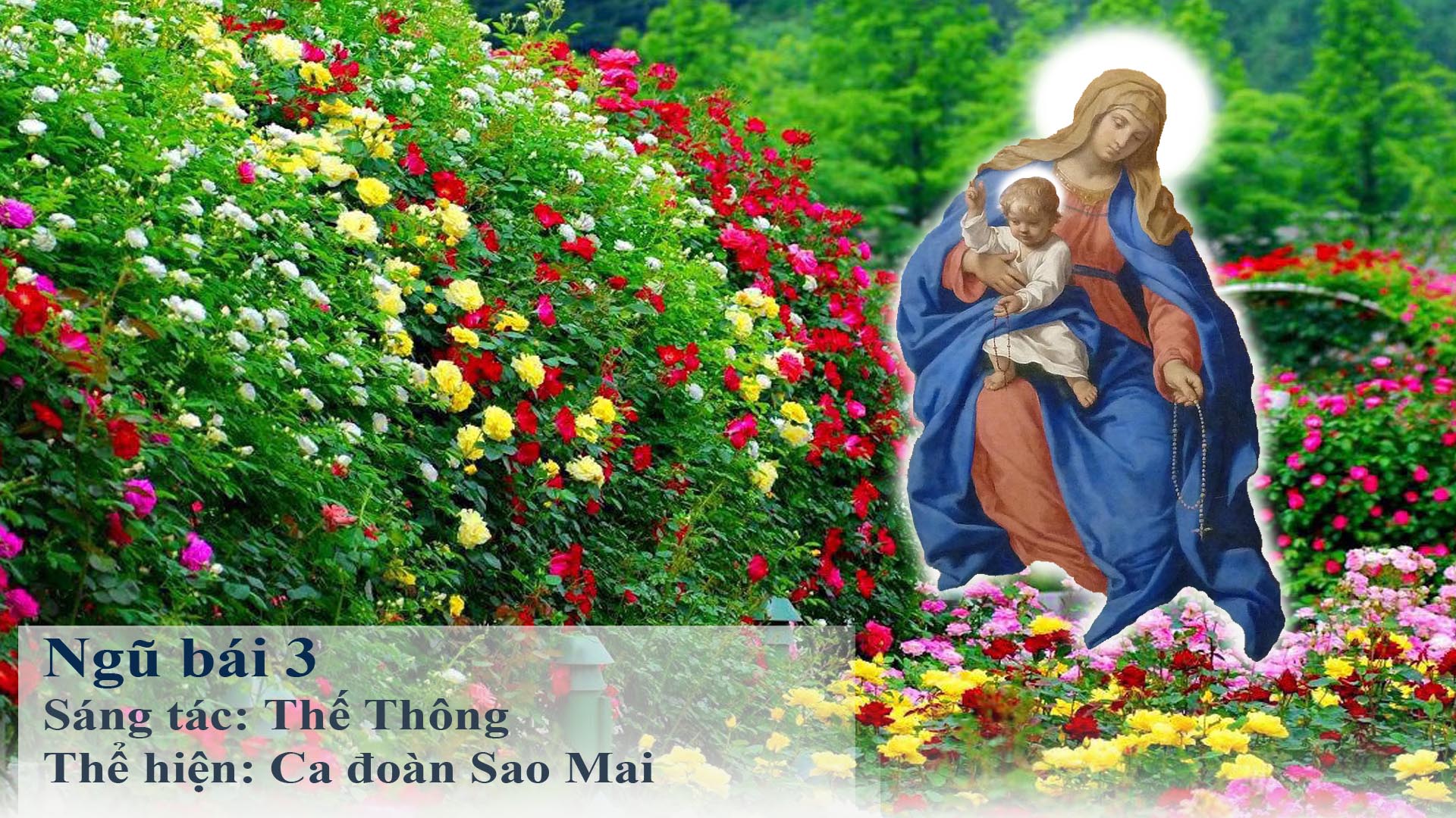 Ngũ bái 3 – Nhạc và lời cùng PDF